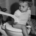 The Impact of Plumbing on Society