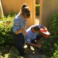The Importance of Plumbing: A Professional's Perspective